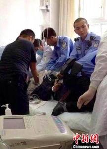 甘肃监狱爆料案件最新,揭开黑幕，探寻真相