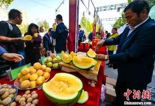 吃瓜最新事件爆料浏阳,吃瓜群众揭秘最新事件内幕