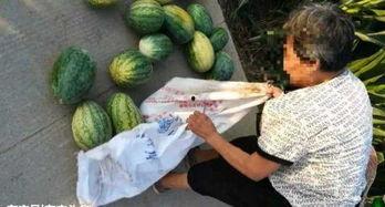 吃瓜最新事件爆料浏阳,吃瓜群众揭秘最新事件内幕