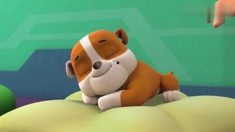 与鸭共舞片段在线观看,一场奇妙的自然互动之旅