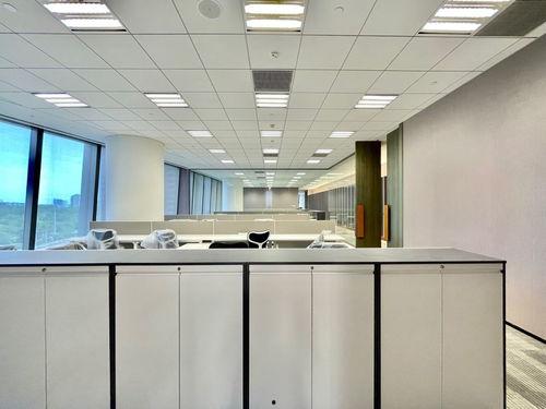 光头食物爆料视频大全集,揭秘美食背后的秘密与真相