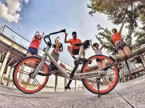 最新土坡自行车爆料新闻,土坡自行车赛事惊现惊人一幕，速度与激情再升级！