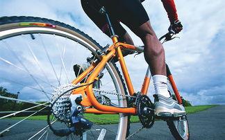 最新土坡自行车爆料新闻,土坡自行车赛事惊现惊人一幕，速度与激情再升级！