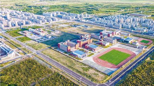 甘肃华亭小天鹅最新爆料,揭秘神秘生物的生存现状与保护措施”