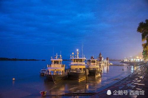 甘肃华亭小天鹅最新爆料,揭秘神秘生物的生存现状与保护措施”