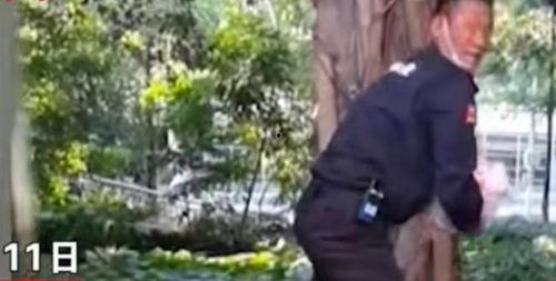 深圳男子爆料新闻报道,揭露惊人真相，引发社会关注