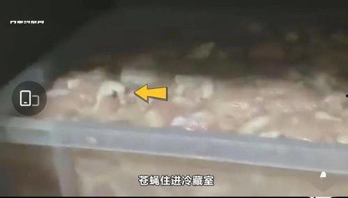 华莱士爆料视频,内幕惊人，行业乱象一览无余