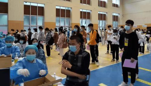 新立交桥爆料了吗最新消息,揭秘工程进度与亮点”