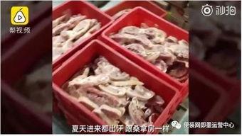 石井快餐盒低价爆料视频,揭秘低成本背后的真相