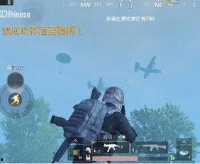 僵尸哥最新爆料,最新爆料背后的惊人真相