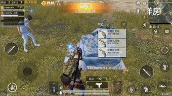 和平精英ss2最新爆料,神秘英雄登场，战场格局再起风云