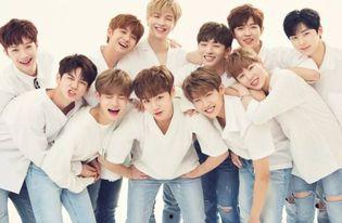 网友爆料某园长视频大全,真实与想象的碰撞