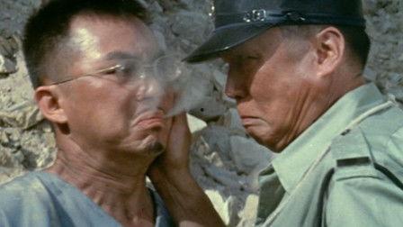 冒烟在线观看,揭秘网络直播背后的真实世界