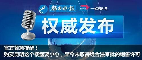 权威记者爆料视频大全最新,最新爆料视频大全深度解析
