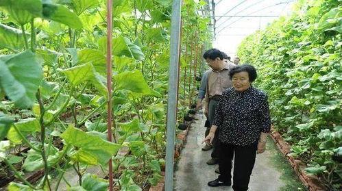 莱州吃瓜最新事件爆料是真的吗,最新爆料真相揭秘