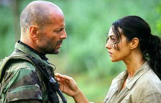 太阳之泪完整在线观看,穿越时空的深情救赎