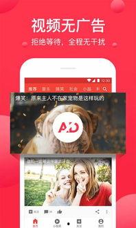 娱乐吃瓜小灵通小说下载,揭秘小说世界里的幕后故事