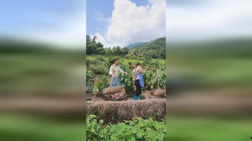 一亩三分地在线观看,揭秘农业科技发展之路