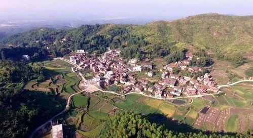 苍溪县山水村爆料视频,揭秘乡村美景与人文风情