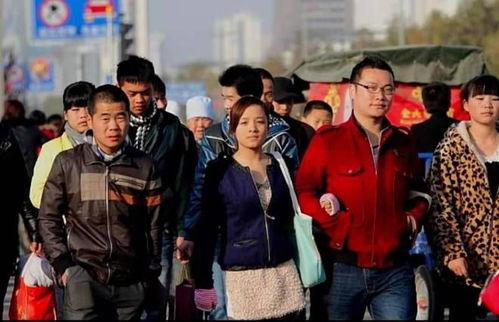 爆料河北学校视频大全集,视频大全集深度解析