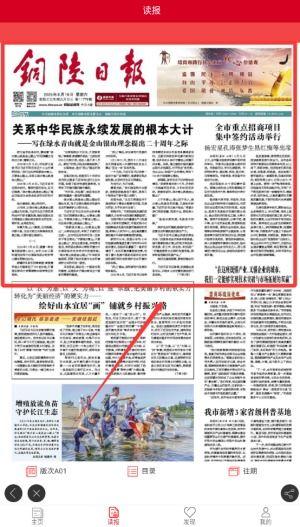 娱乐日报爆料新闻内容摘抄