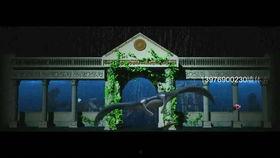 仙源道院爆料事件视频最新,神秘事件背后真相揭晓