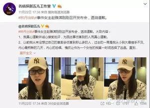 田林新闻爆料事件视频,视频揭露惊人真相