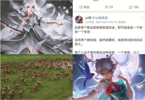 瑶的皮肤最新爆料视频,惊艳亮相，细节解析