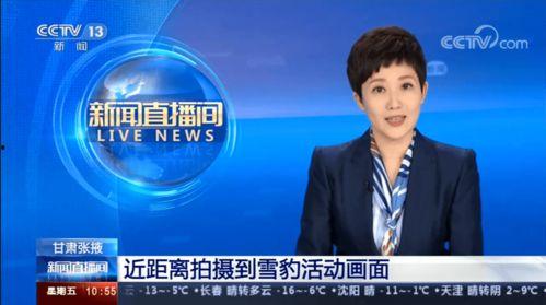 张掖新闻爆料热线,见证城市脉搏，倾听民声心声