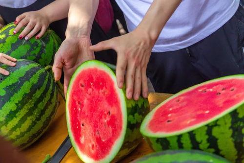 吃瓜集合免费,免费畅享娱乐盛宴