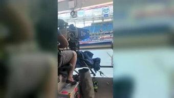 明星娱乐爆料小程序