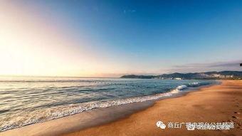 海南赶海爆料网站官网最新,最新爆料网站官网独家解读