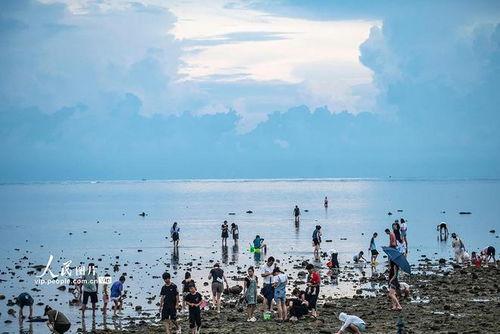 海南赶海爆料网站官网最新,最新爆料网站官网独家解读