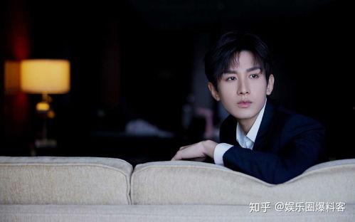 娱乐爆料 成毅是谁,娱乐爆料中的璀璨新星