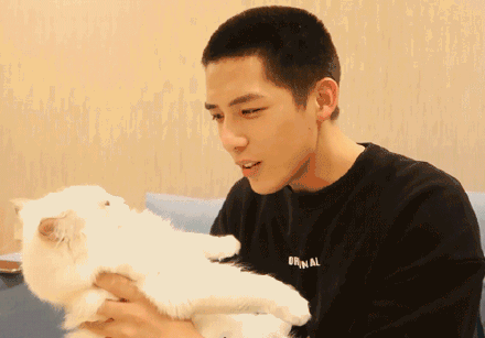 王安宇宋祖儿圈内爆料,揭秘娱乐圈不为人知的幕后故事