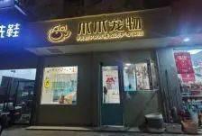 温州宠物店爆料事件最新,揭露行业黑幕，宠物权益亟待关注