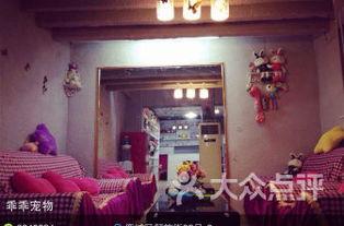 温州宠物店爆料事件最新,揭露行业黑幕，宠物权益亟待关注